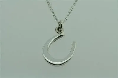 clean horse shoe pendant on 55cm link chain