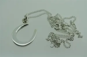 clean horse shoe pendant on 55cm link chain